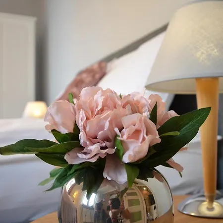 Apartament Fontanna Stare Miasto אולז'טין